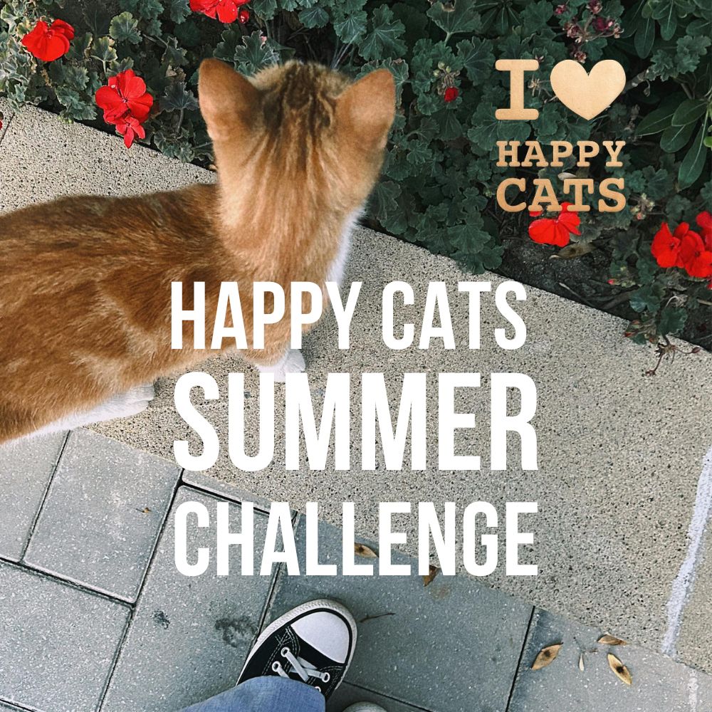 HAPPY CATS SUMMER CHALLENGE 2026