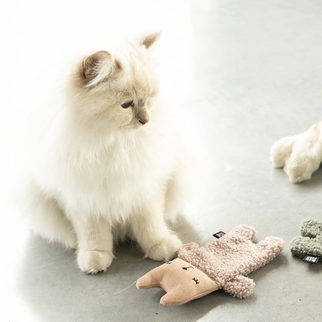 ALFIE XL - Kattenspeeltje