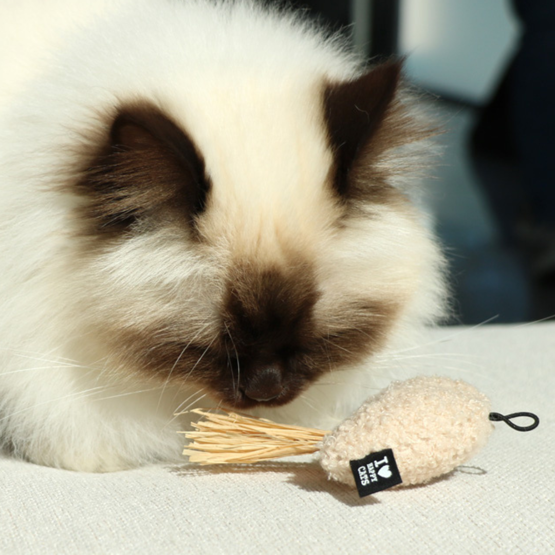JAVE, JOY, JUNE Kattenspeeltje met raffia