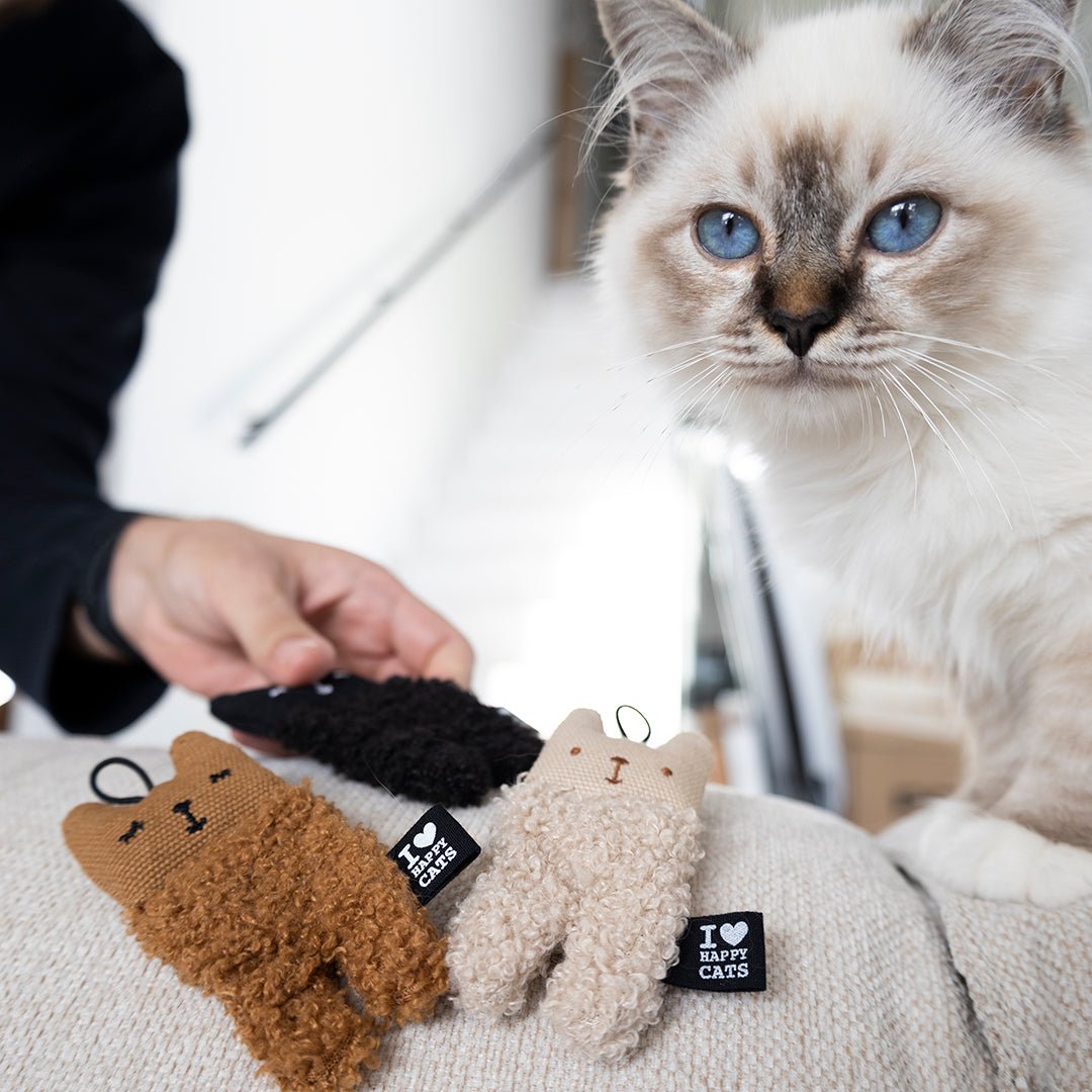 ALFIE Kattenspeeltjes