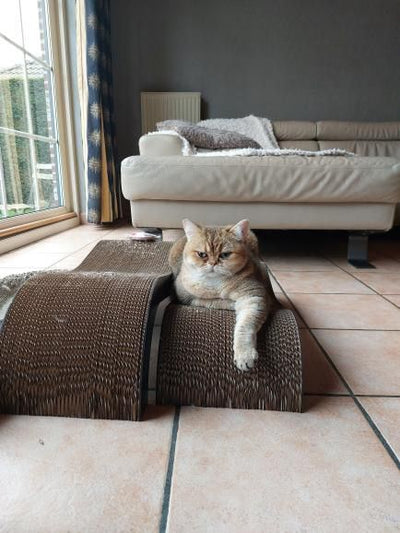 ARCHIE - Krabplanken