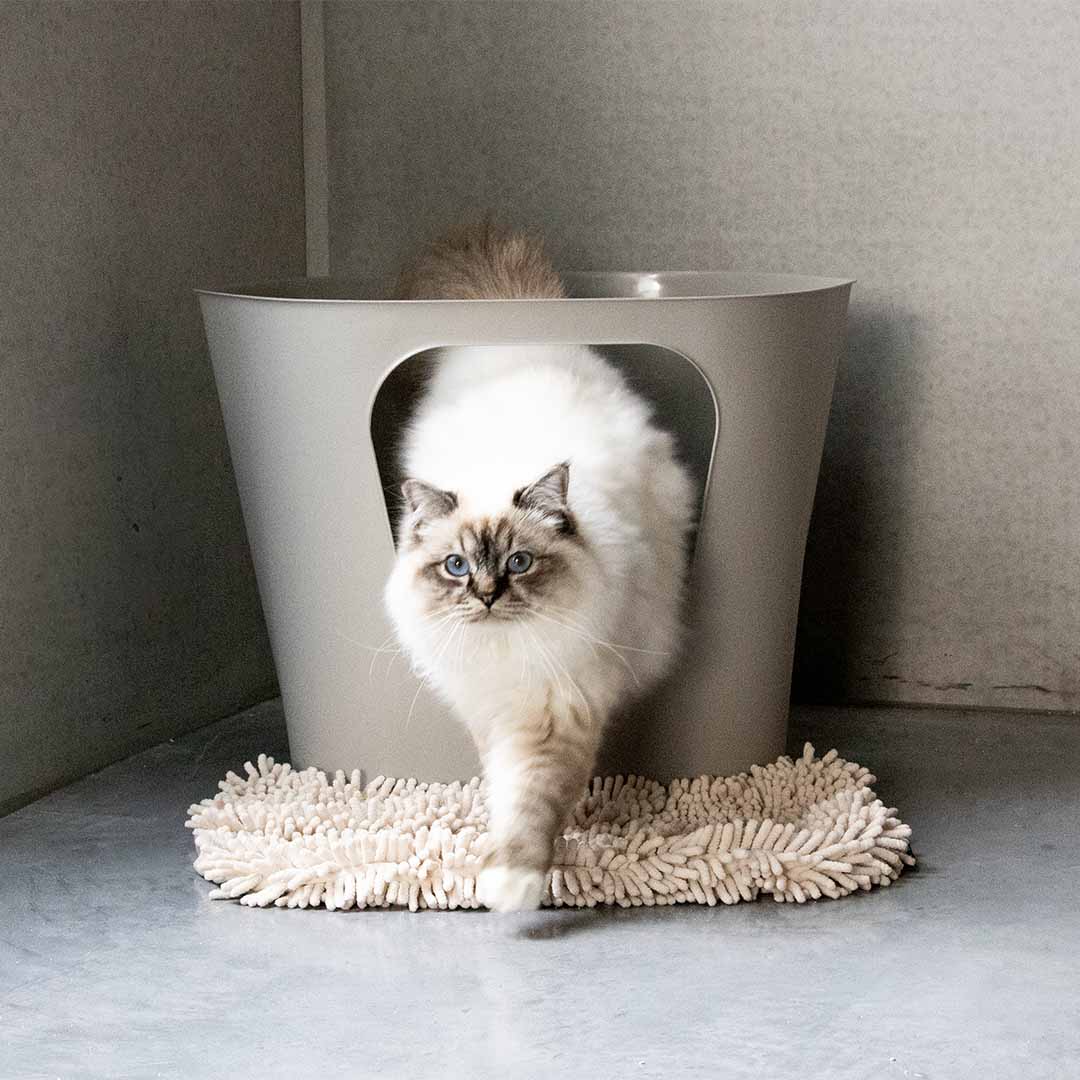 DAISY - Kattenbakmat