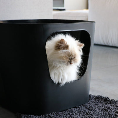 DAISY - Kattenbakmat