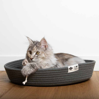 Jess kattenmand