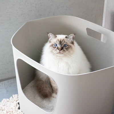 Kattenbakset Dean