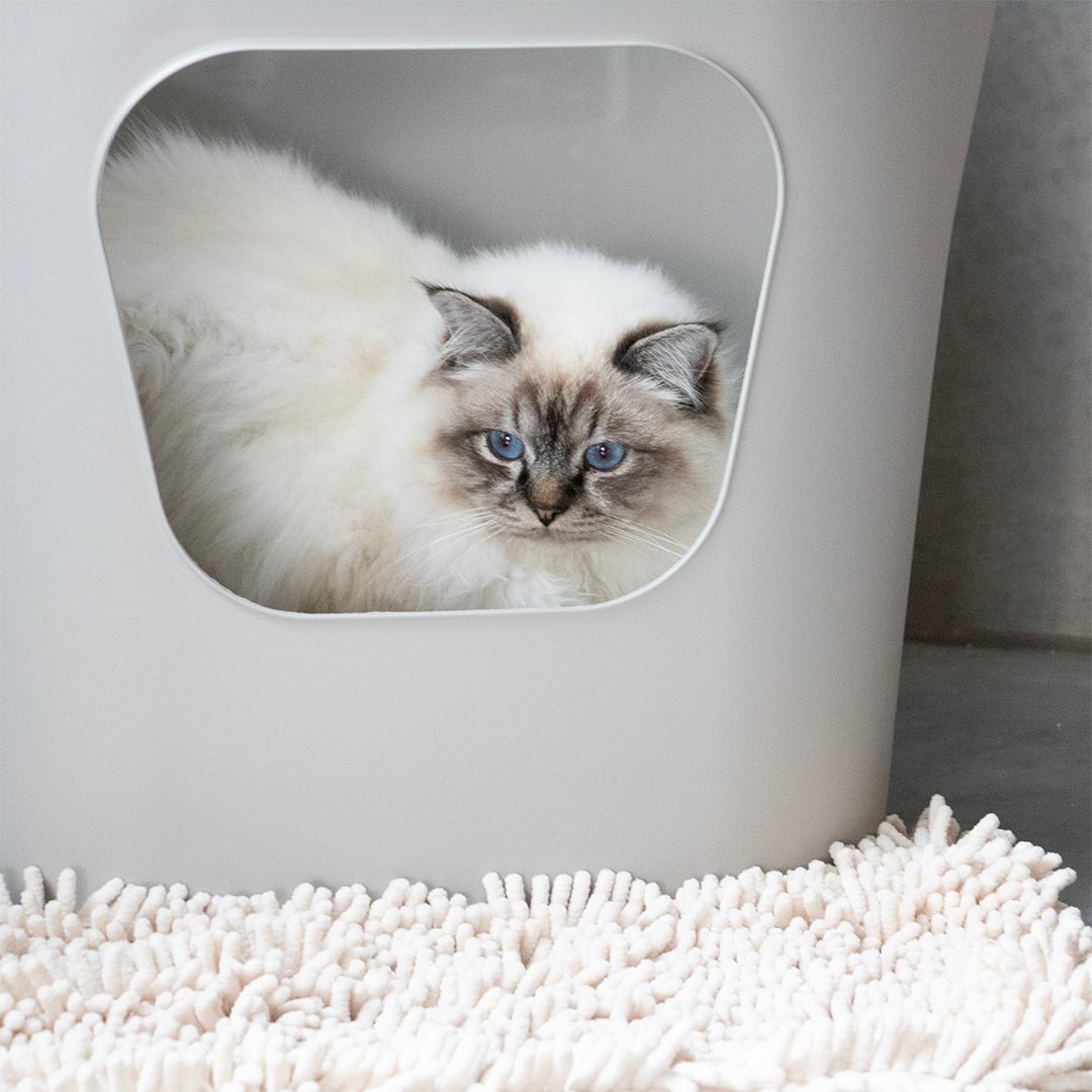 Kattenbakset Dean