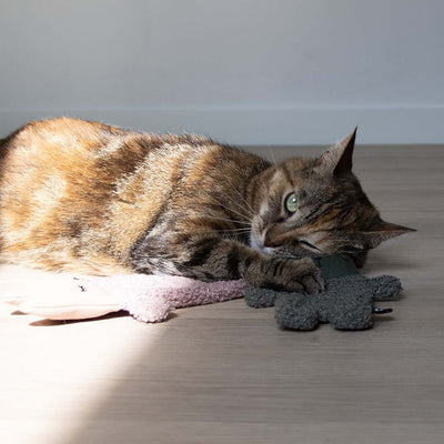 ALFIE XL - Kattenspeeltje