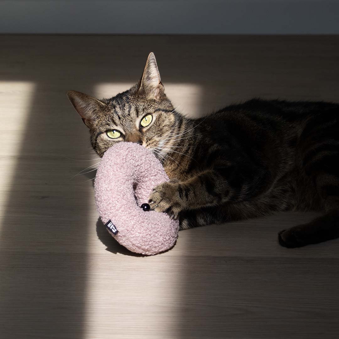 MAPLE - Kattenspeeltje