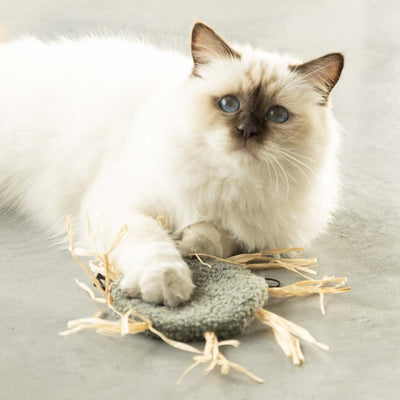 MILLY - Kattenspeeltje