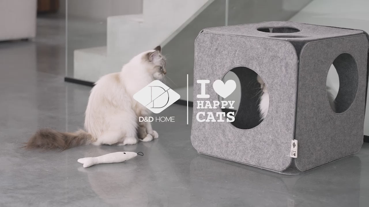 Video laden: 